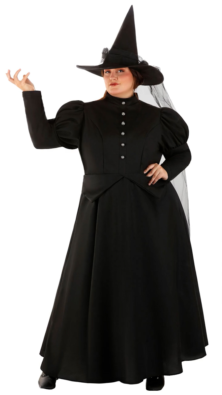FUN3000PL Ai Womens Witch Plus Costume